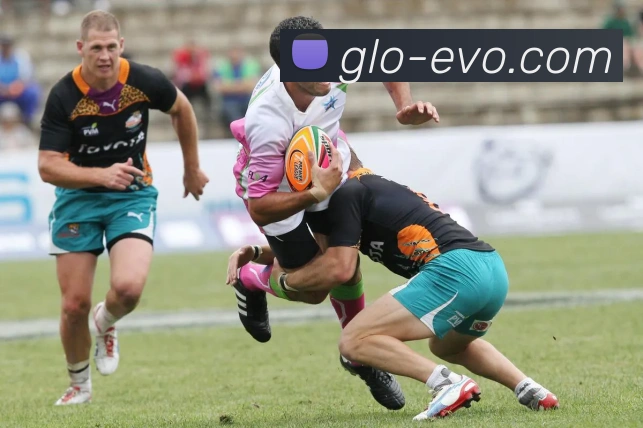 EVO真人官网平台生态图