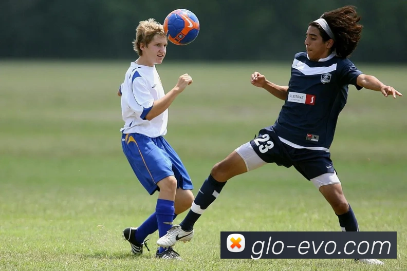 EVO真人官网全站App